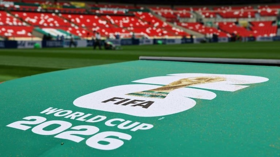 (313265)
