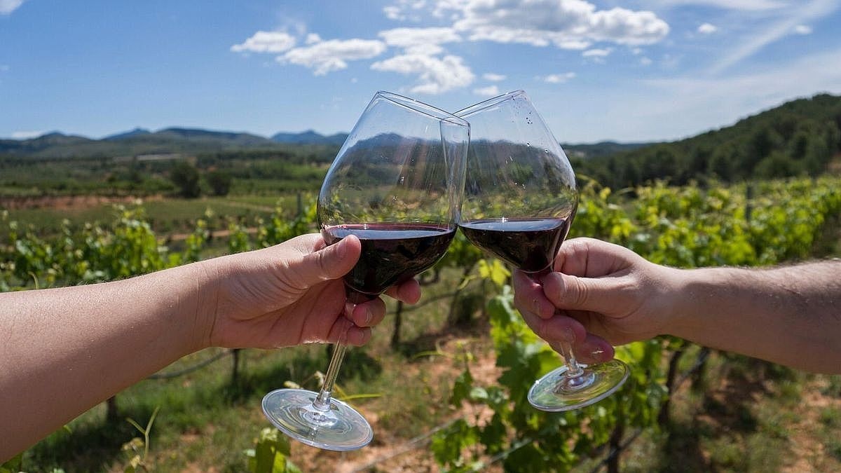 ¡Atención’: Mendoza se quedó con el ’Mundial del Vino’ de Wine Spectator