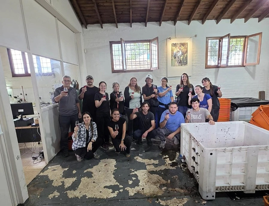 Wine Institute consolida su proyecto educativo: segunda cosecha de su vino elaborado 100% por alumnos